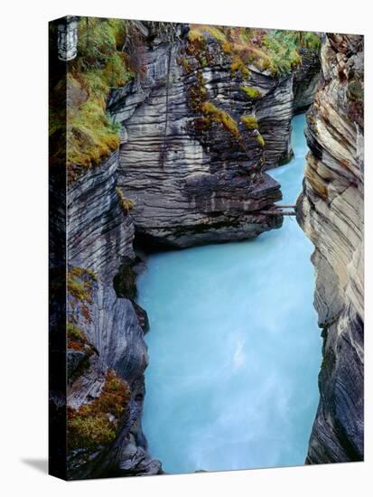 Canada, Alberta, Jasper National Park, Athabasca River Has Cut a Deep Limestone Gorge-John Barger-Premier Image Canvas