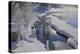 Canada, Alberta, Jasper National Park. Athabasca River in winter.-Jaynes Gallery-Premier Image Canvas