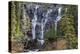 Canada, Alberta, Jasper National Park, Tangle Falls-Jamie & Judy Wild-Premier Image Canvas