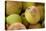 Canada, British Columbia, Cowichan Valley. Close-Up of Red and Green Apples-Kevin Oke-Premier Image Canvas