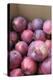 Canada, British Columbia, Cowichan Valley. Close Up of Red Apples in a Cardboard Box-Kevin Oke-Premier Image Canvas