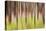 Canada, British Columbia. Motion Blur of Grass and Trees-Don Paulson-Premier Image Canvas