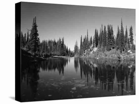 Canada, British Columbia, Revelstoke, Mount Revelstoke National Park-Mike Grandmaison-Premier Image Canvas