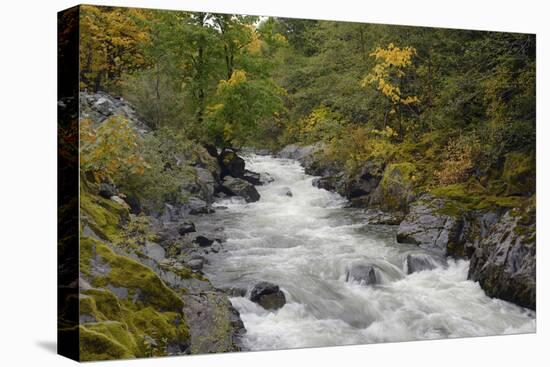 Canada, British Columbia, Vancouver Island. Harris Creek Flowing Through Harris Canyon in Fall-Kevin Oke-Premier Image Canvas