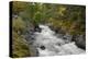 Canada, British Columbia, Vancouver Island. Harris Creek Flowing Through Harris Canyon in Fall-Kevin Oke-Premier Image Canvas