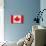 Canada Flag Design with Wood Patterning - Flags of the World Series-Philippe Hugonnard-Stretched Canvas displayed on a wall