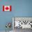 Canada Flag Design with Wood Patterning - Flags of the World Series-Philippe Hugonnard-Stretched Canvas displayed on a wall