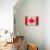 Canada Flag Design with Wood Patterning - Flags of the World Series-Philippe Hugonnard-Stretched Canvas displayed on a wall