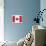 Canada Flag-ekler-Stretched Canvas displayed on a wall