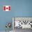 Canada Flag-ekler-Stretched Canvas displayed on a wall