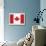 Canada Flag-ekler-Stretched Canvas displayed on a wall