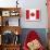 Canada Flag-ekler-Stretched Canvas displayed on a wall