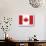 Canada Flag-ekler-Stretched Canvas displayed on a wall