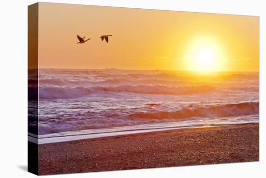 Canada Geese over Rialto Beach at Sunset, Olympic NP, Washington, USA-Jaynes Gallery-Premier Image Canvas