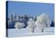 Canada, Manitoba, Birds Hill Provincial Park. Hoarfrost-covered trees in winter.-Jaynes Gallery-Premier Image Canvas