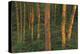 Canada, Manitoba, Clearwater Provincial Park. Fading light on forest.-Jaynes Gallery-Premier Image Canvas