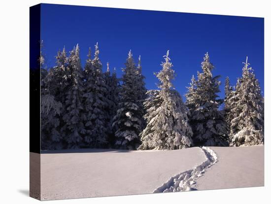 Canada, Manitoba, Riding Mountain National Park-Mike Grandmaison-Premier Image Canvas