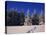 Canada, Manitoba, Riding Mountain National Park-Mike Grandmaison-Premier Image Canvas