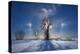 Canada, Manitoba. Sundogs and cottonwood trees in winter.-Jaynes Gallery-Premier Image Canvas