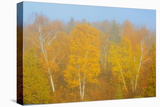 Canada, Manitoba, Whiteshell Provincial Park. Forest in autumn color and fog.-Jaynes Gallery-Premier Image Canvas