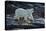 Canada, Nunavut, Repulse Bay, Polar Bears Walking Along Shore-Paul Souders-Premier Image Canvas