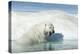 Canada, Nunavut Territory, Polar Bear on an Iceberg in Hudson Bay-Paul Souders-Premier Image Canvas