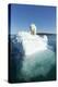 Canada, Nunavut Territory, Polar Bear on an Iceberg in Hudson Bay-Paul Souders-Premier Image Canvas