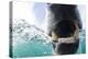 Canada, Nunavut Territory, Repulse Bay, Polar Bear in Hudson Bay-Paul Souders-Premier Image Canvas