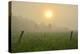 Canada, Ontario, Bourget. Farm field at sunrise in fog.-Jaynes Gallery-Premier Image Canvas