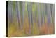 Canada, Yukon, Kluane National Park. Abstract motion blur of aspen trees.-Jaynes Gallery-Premier Image Canvas