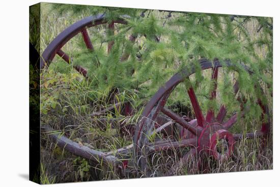 Canada, Yukon Territory. Old wagon wheels in grass.-Jaynes Gallery-Premier Image Canvas