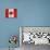 Canada-Artpoptart-Premier Image Canvas displayed on a wall