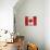 Canada-Artpoptart-Premier Image Canvas displayed on a wall