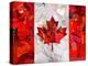 Canada-Artpoptart-Premier Image Canvas