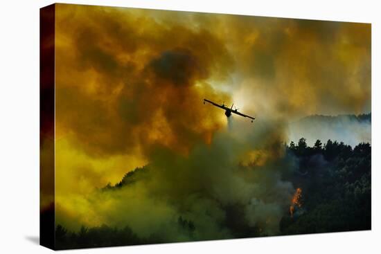 Canadair Aircraft in Action - Fighting for the Salvation of the Forest.-Antonio Grambone-Premier Image Canvas