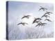 Canadian Geese, Iowa, USA-Michael Scheufler-Premier Image Canvas