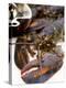 Canadian Lobster-Peter Medilek-Premier Image Canvas