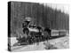 Canadian Pacific Railway Train-null-Premier Image Canvas