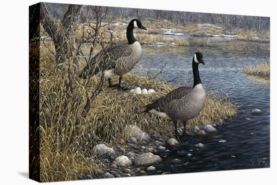 Canadian Pair-Jeff Tift-Premier Image Canvas