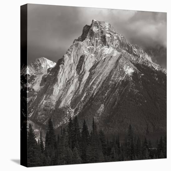 Canadian Rockies-Alan Majchrowicz-Premier Image Canvas