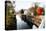 Canal Lock Fall Scene, Kingston, New Jersey-George Oze-Premier Image Canvas