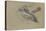 Canard et trois têtes de canard-Pieter Boel-Premier Image Canvas