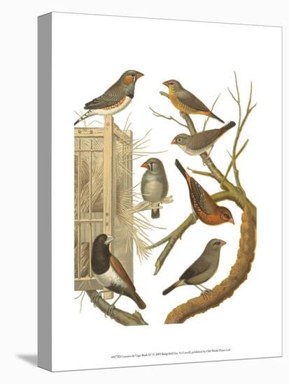 Canaries and Cage Birds IV-Cassel-Stretched Canvas