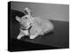 Canary Sitting on House Cat's Head-null-Premier Image Canvas