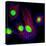 Cancer Cell Division-Dr. Paul Andrews-Premier Image Canvas