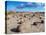 Cancha de bochas (Bowls Pitch) Formation, Ischigualasto Provincial Park, UNESCO World Heritage Site-Karol Kozlowski-Premier Image Canvas