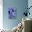 Candle Larkspur (Delphinium Elatum)-Maxine Adcock-Premier Image Canvas displayed on a wall