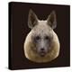 Canine Beast of Pray, Hyena, Low Poly Vector Portrait Illustration-Jan Fidler-Premier Image Canvas