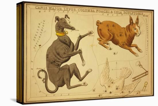 Canis Major and Lepus Constellations, 1825-Science Source-Premier Image Canvas
