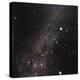 Canis Major Constellation-Eckhard Slawik-Premier Image Canvas